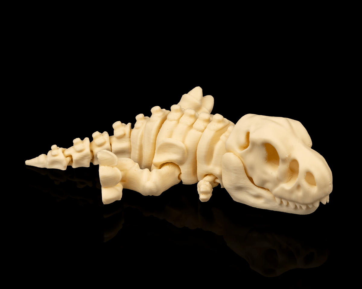 Flexi Skeleton T-Rex – 3D Printed Articulated Dinosaur