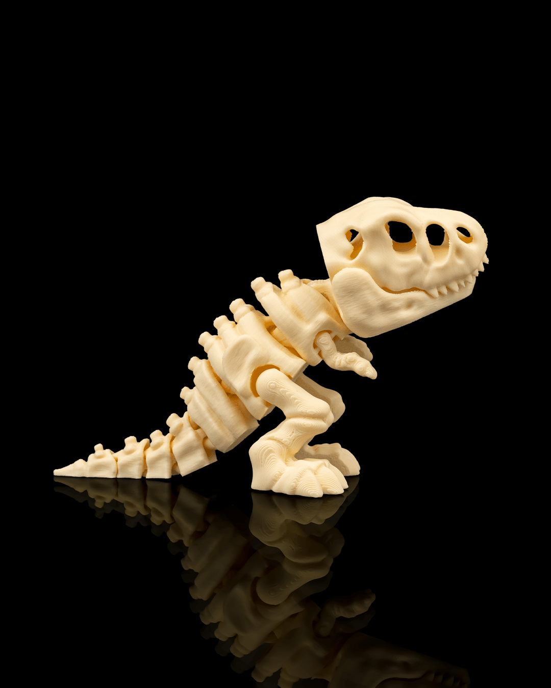 Flexi Skeleton T-Rex – 3D Printed Articulated Dinosaur